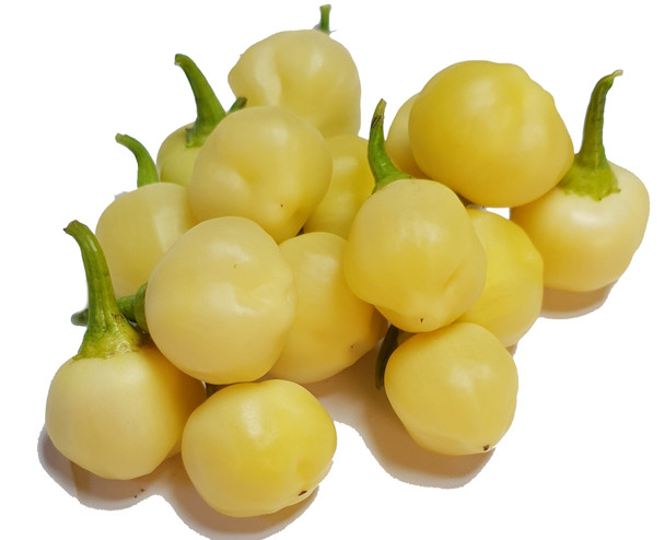 AJI FANTASY PEACH MATURE PODS IMAGE