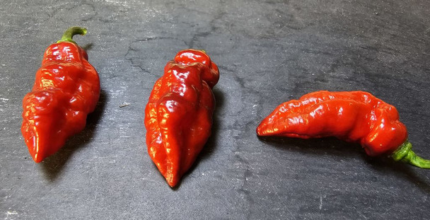 NAGA BLACK MATURE PODS