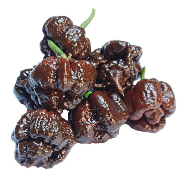 BORG 9 CHOCOLATE MATURE PODS