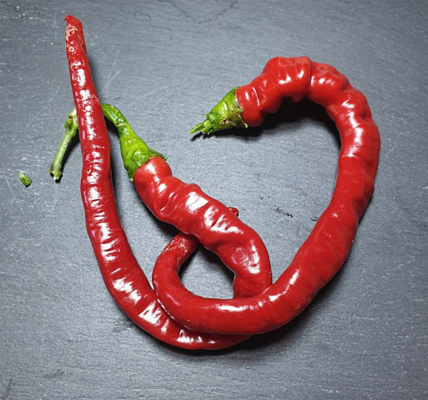 HANGIJAO 4 MATURE PODS