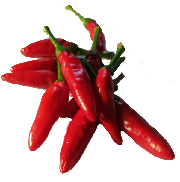 INDIAN CHILLI BULLET MATURE PODS