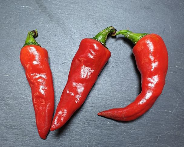 MARIS BIBER MATURE PODS