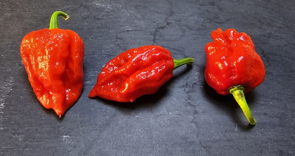 NAGA BENGAL MATURE PODS