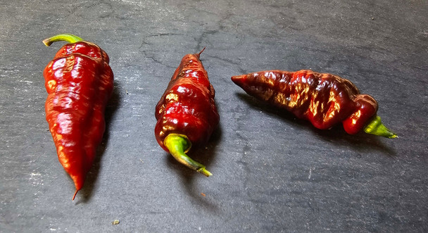 NAZGULZ BREAKFAST MATURE PODS