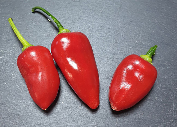 WHAM PEPPER MATURE PODS