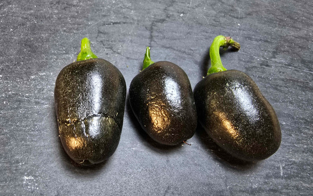 Jalapeno Black Bullet Mature Pods