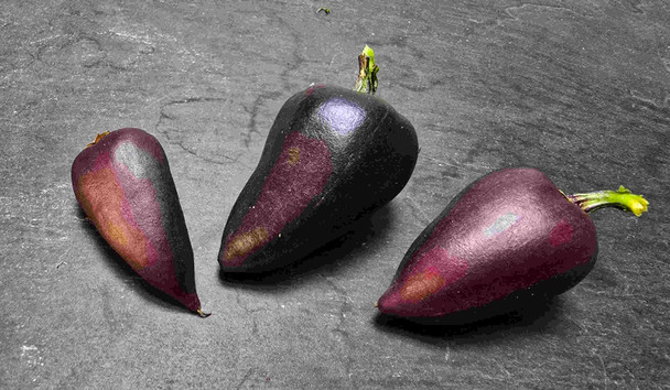 Violet Sparkle Mature Pods