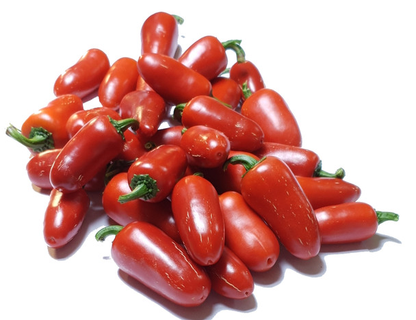 JALAPENO JALAPA MATURE PODS
