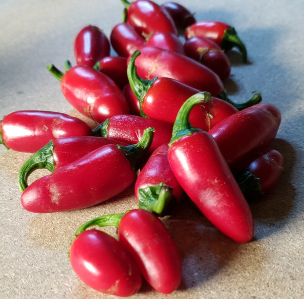 JALAPENO MACHO NACHO MATURE PODS