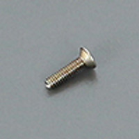 ARC 2x8mm Flat Screw (10 pcs)