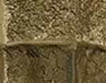 Saddle Beige