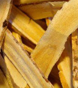 Did You Know - ImmuCare