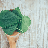 ​The Harmonizing Benefits of Lemon Balm