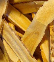 Did You Know - ImmuCare