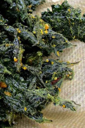  Savory Nettle Chips Recipe
