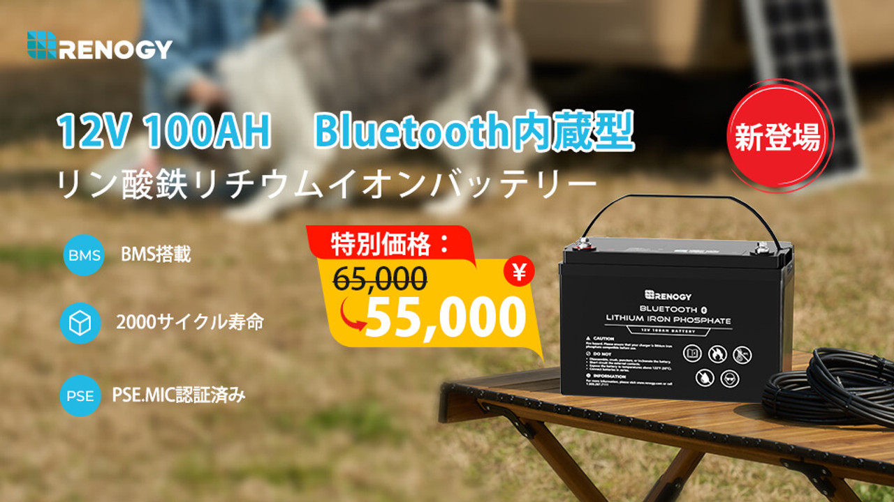 新登場】リン酸鉄リチウムイオンバッテリー 100AH 12V BLUETOOTHモジュール内蔵 - RENOGY JAPAN 株式会社 |  RENOGY JAPANオンラインショップ