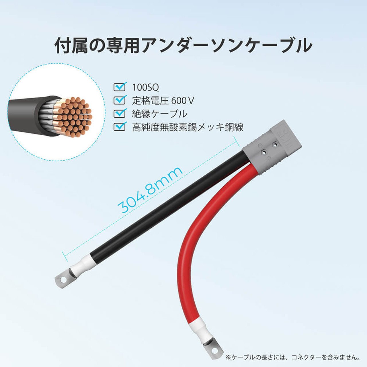 REGOシリーズ 12V 400Ah リン酸鉄リチウムイオンバッテリー（専用アンダーソンケーブル付き）