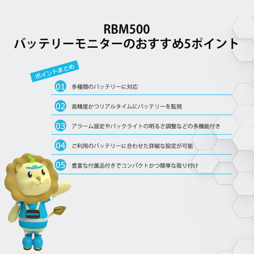 RBM500 バッテリーモニター 電圧計＆電流計 | RENOGY JAPANオンライン ...