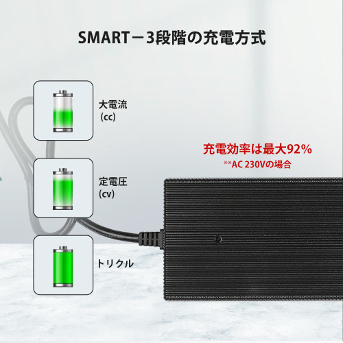 リン酸鉄リチウムイオンバッテリー専用充電器 24V 10A | RENOGY JAPAN ...