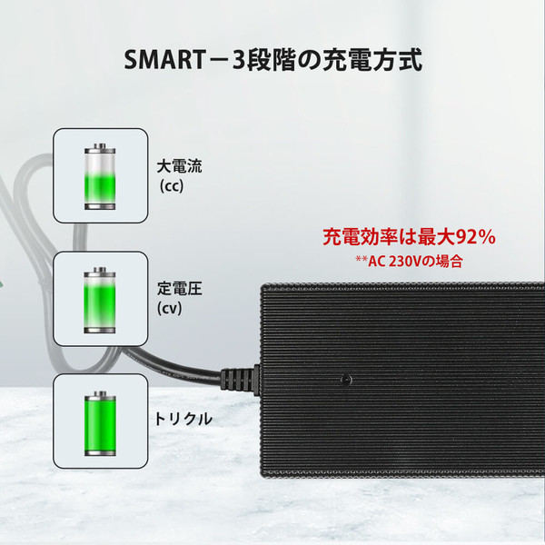 リン酸鉄リチウムイオンバッテリー専用充電器 24V 10A | RENOGY JAPAN