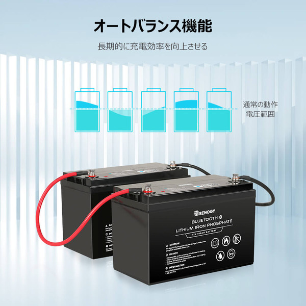 入荷中 リン酸鉄リチウムイオン蓄電池 12V100Ah その他 - education