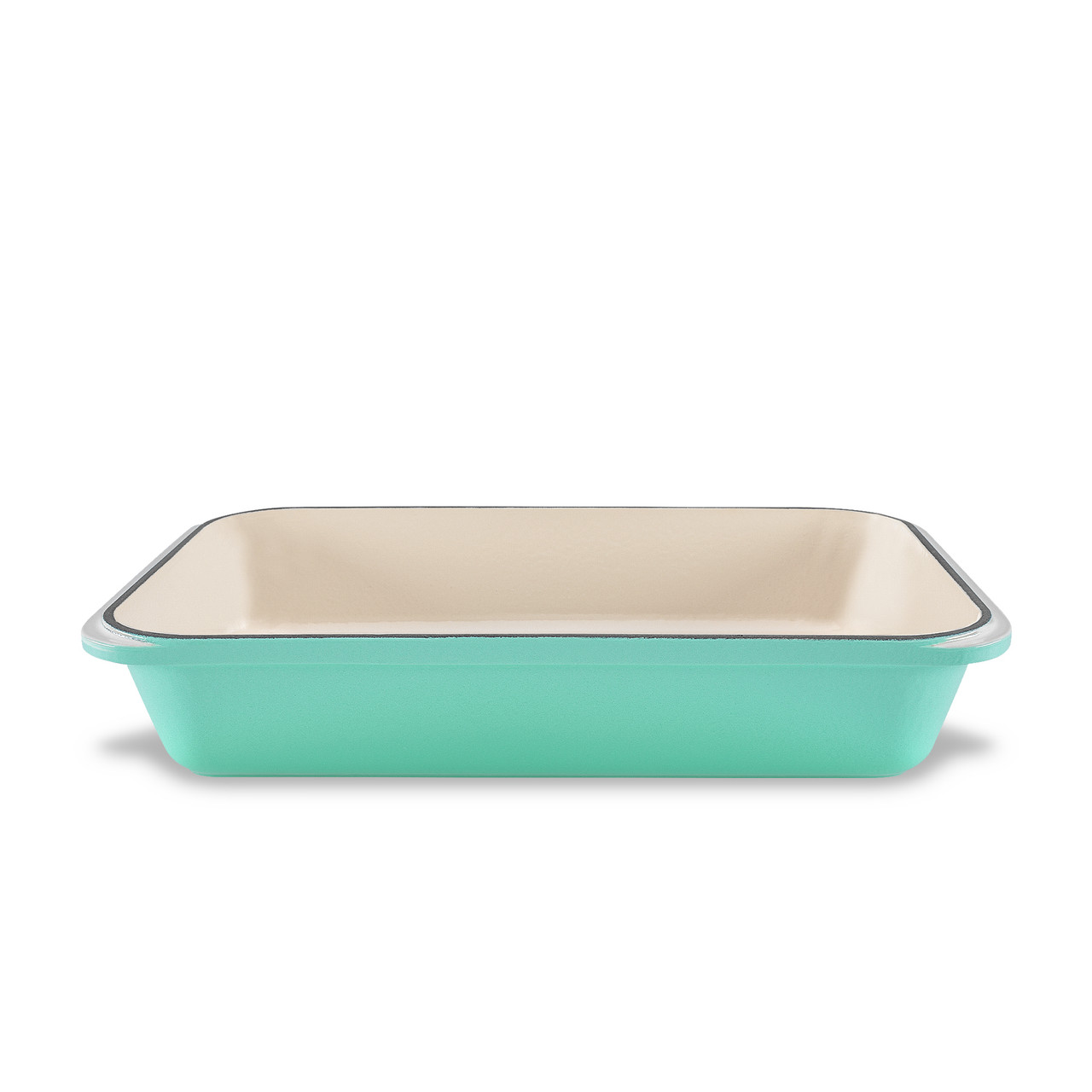 Rectangular Roasting Pan 40 x 26cm Peppermint