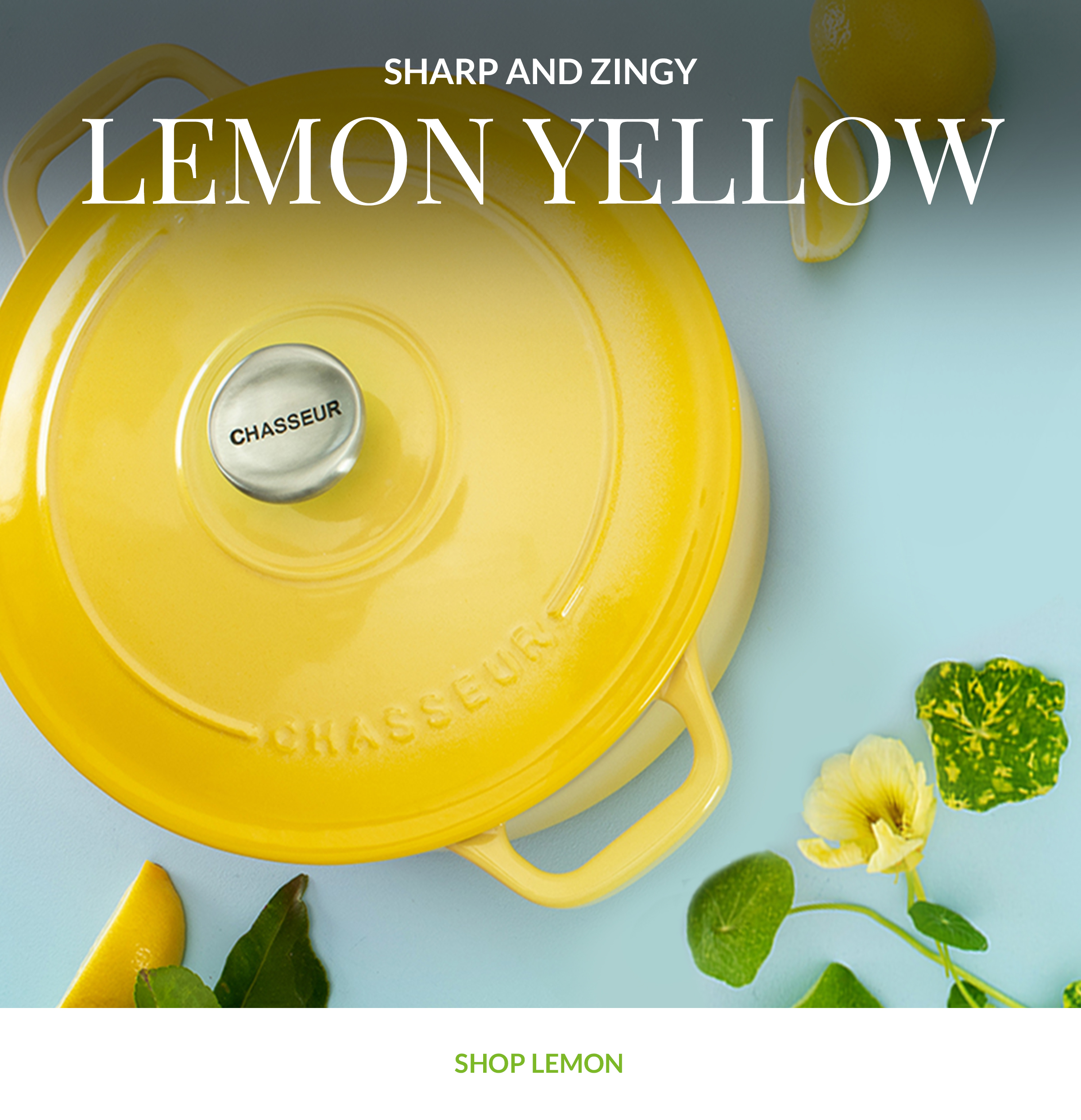 Chasseur French Oven White, 28cm - 6.1 Litres – Lemon Ginger Kitchenware