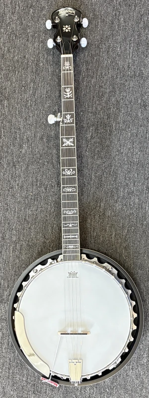 Washburn 5-String Banjo with Resonator