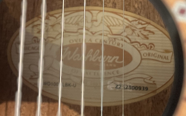 Washburn WD100DLBK Apprentice Dreadnought Acoustic Guitar Black Gloss