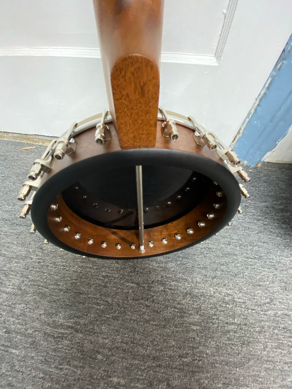 Vega Woodsongs Campfire Long-Neck Banjo