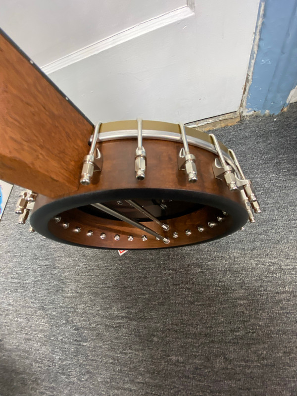 Vega Woodsongs Campfire Long-Neck Banjo