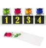 Flower prediction Rose kids mentalism magic bouquet