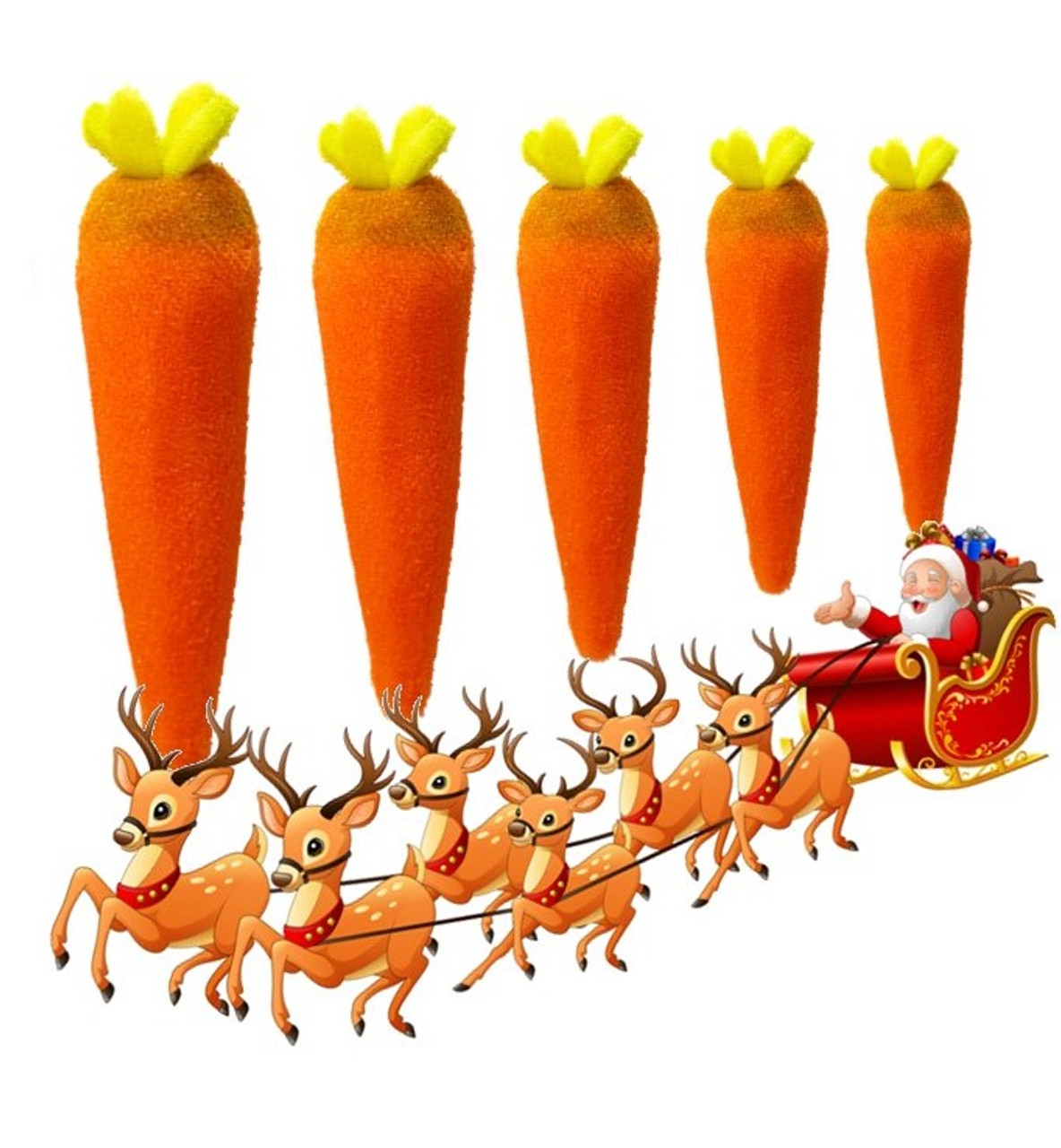 Multiplying Carrots Magic Trick Gospel Christmas Alexander May
