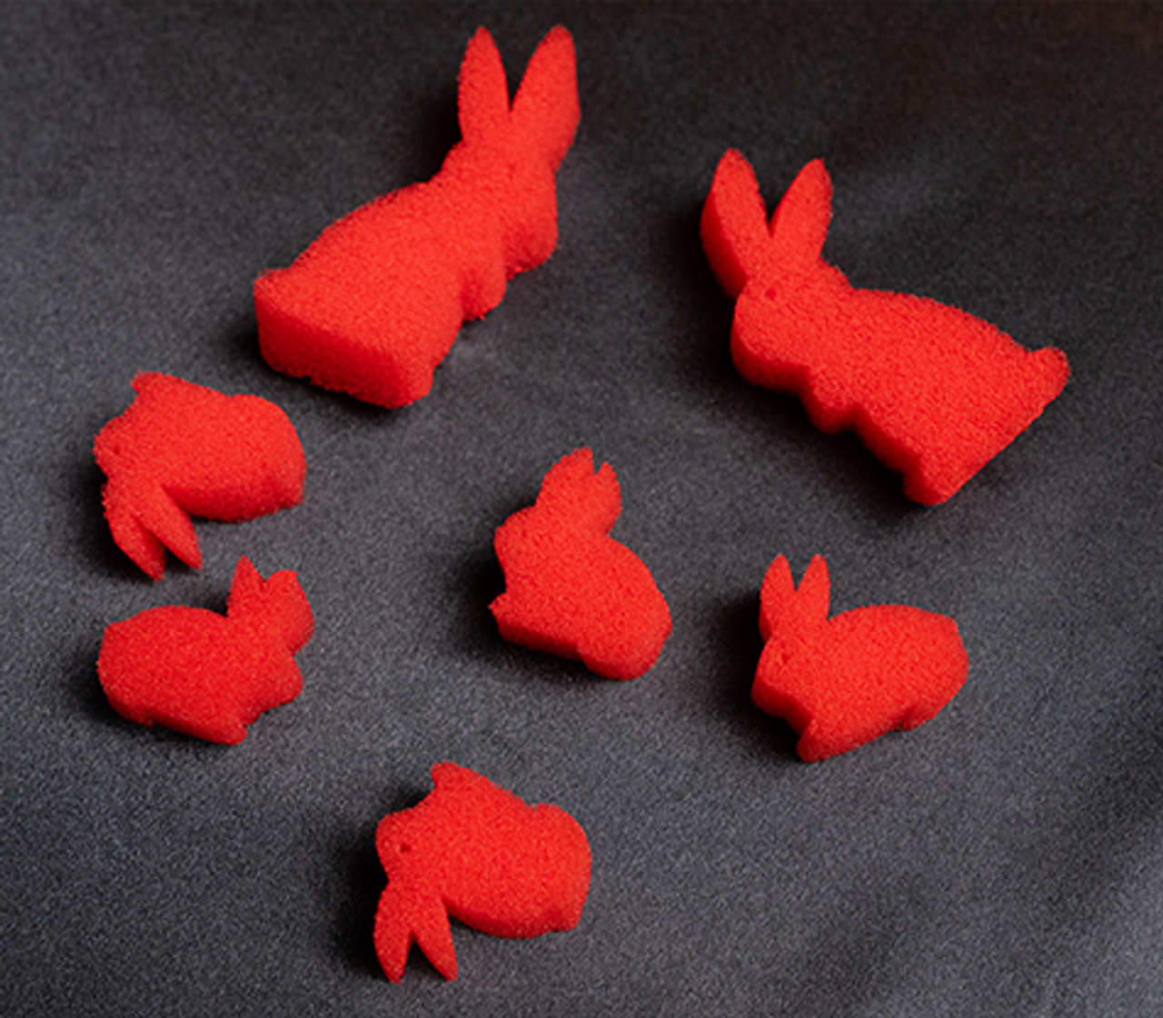 Multiplying Sponge Rabbits Magic Trick Murphy's