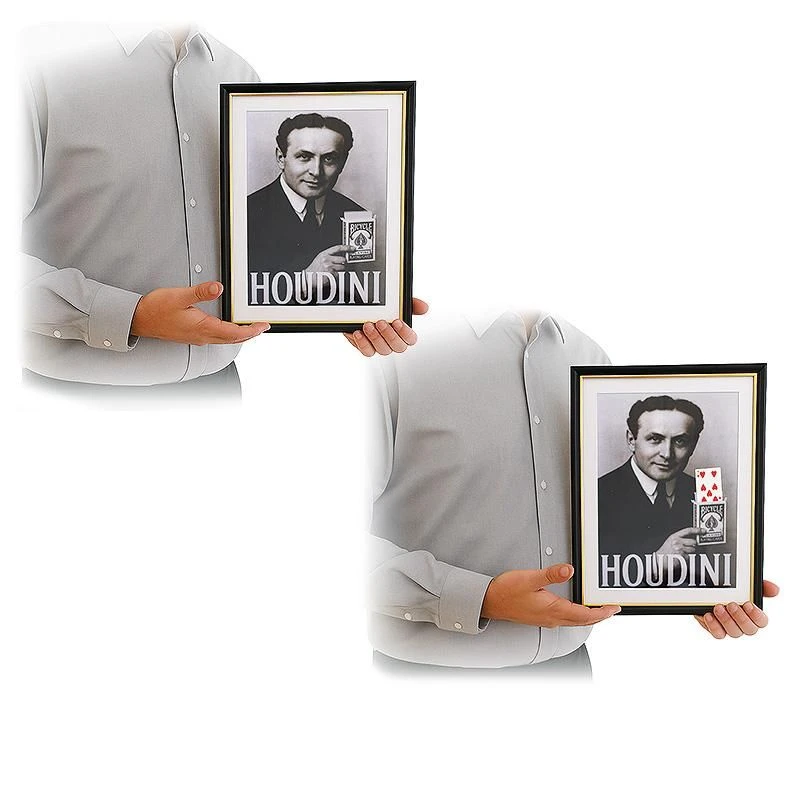 Houdini Magic Trick Card Prediction