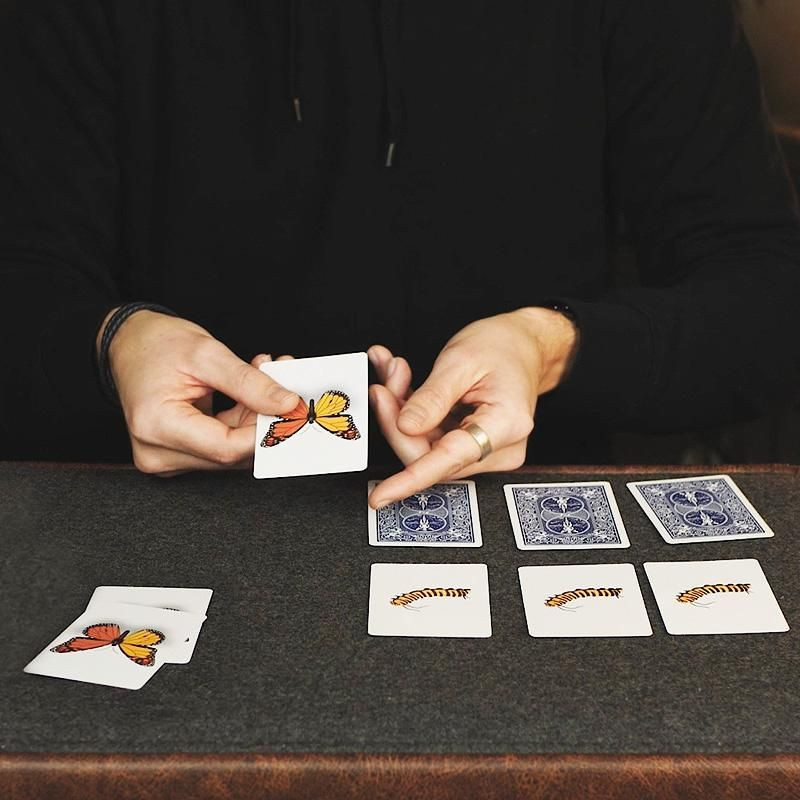 Caterfly Card Trick Children