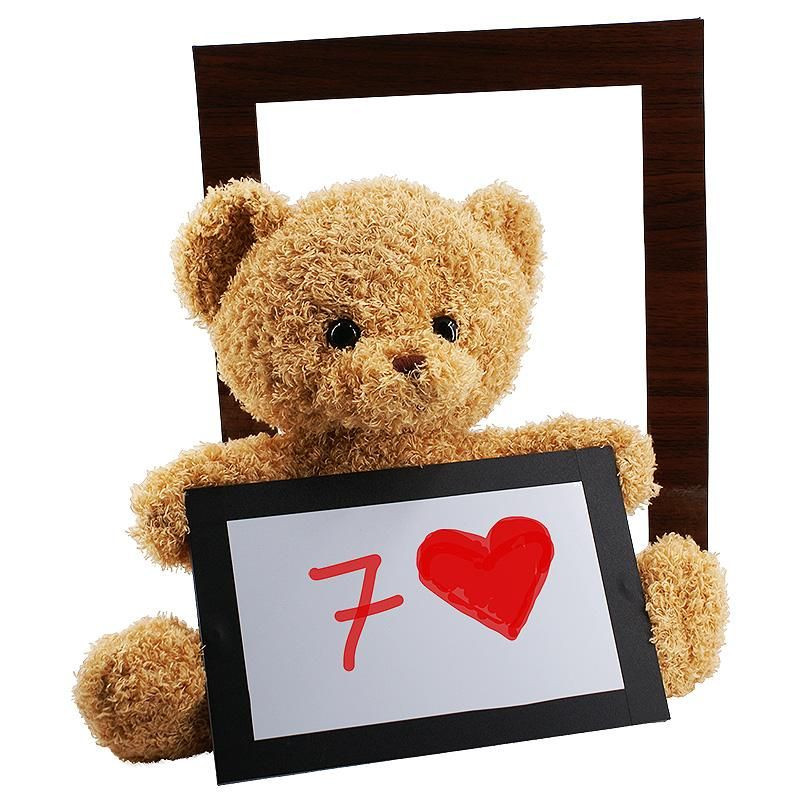Teddy Bear Toy Prediction Tora
