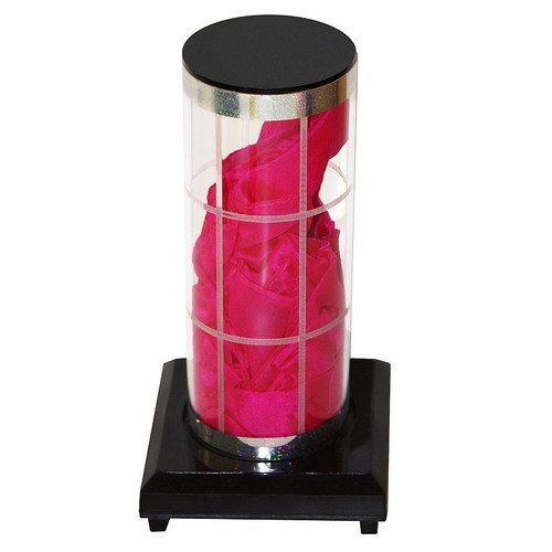 Magic Trick Difatta Tube of Wonders Magic Trick Difatta Tube of Wonders