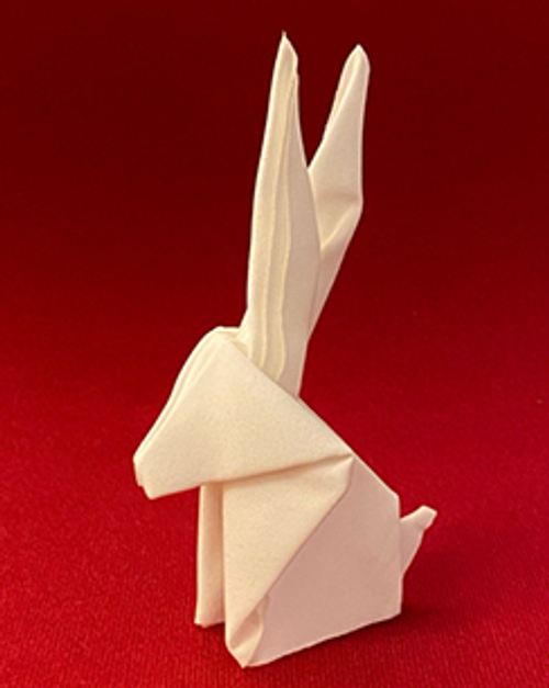 Instant Origami Rabbit Handkerchief Alan Wong Instant Origami Rabbit Handkerchief Alan Wong