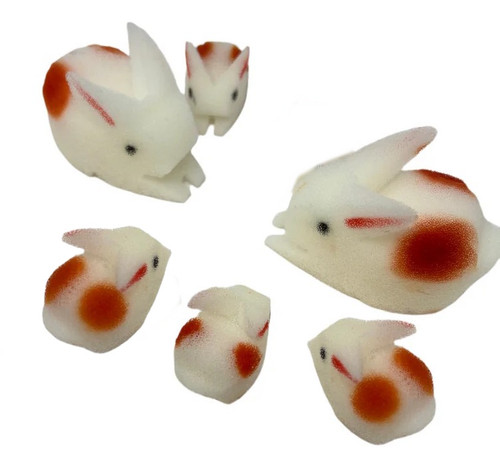 Denny's 3D Multiplying Rabbits Sponge Magic Trick