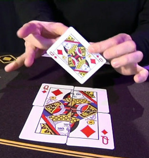 Mis Prediction DiFatta Card Trick Magic Bicycle