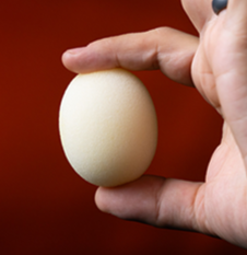 Super Soft Sponge Eggs Balls Murphy's