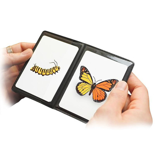 Caterfly Card Trick Children