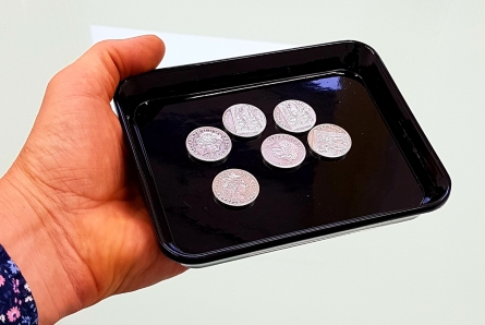 multiplying-coin-tray-3-cropped.jpg