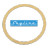 International/Navistar 2594128C1 Primary Gasket included in complete kit