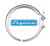 2880500 Cummins Diesel Oxidation Catalyst Filter, 2880500NX Cummins Diesel Oxidation Catalyst Filter, 2880500RX Cummins Diesel Oxidation Catalyst Filter, 2880500CUM Cummins Diesel Oxidation Catalyst Filter, and Aftermarket 2880500NX Cummins Inlet Module Inlet Clamp