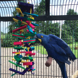 Rainbow Tower Wood and Rope Parrot Toy