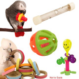 Foot Toy Kit for Parrots