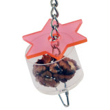 Super Star Parrot Foraging Toy