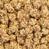 Lafeber NutriBerries Original Complete Cockatiel Food - Millet, Oat, Peanut, Seeds